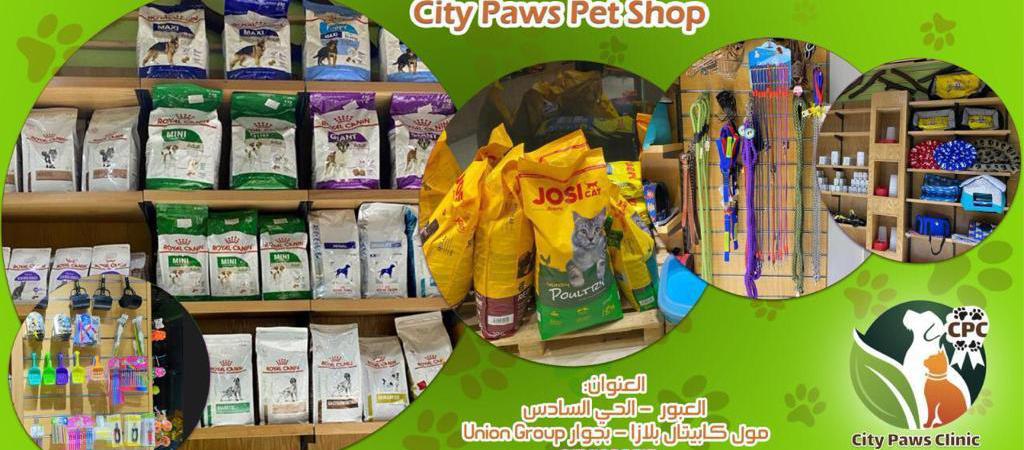 City Paws Clinic